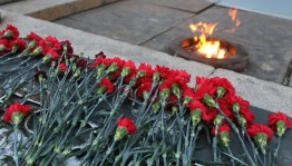 Акция «Красная гвоздика»