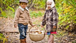 Позновательная программа «Путешествие в царство грибов»