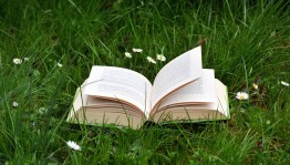 «Лето,книги,100 фантазий»