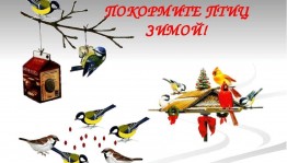 «Птичий базар» изготовление кормушек. День встречи зимующих птиц