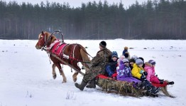 Экскурсия на запряжённой лошади «Эх снег снежок - белая метелица».