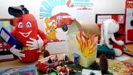 Урок безопасности «Не играй с огнем»