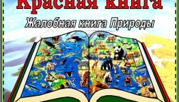 Игра–путешествие«Жалобная книга природы»