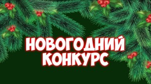 Конкурс «Новогодний двор»