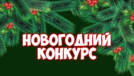 Конкурс «Новогодний двор»