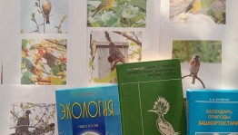 Экологические чтения «Зимующие птицы родного края»