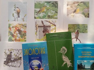 Экологические чтения «Зимующие птицы родного края»