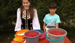 «Правильно питаться- здоровым остаться»