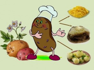 Познавательно–развлекательная«Картофельный банкет»