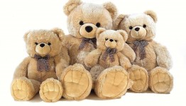 Детские посиделки «Откуда ты Мишка?»