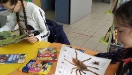 Зоошоу «На красной странице – звери и птицы»