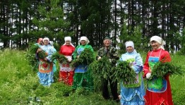 Экологическая тропа «Сила природы»