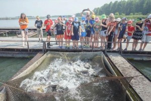 Экскурсия «Подводное царство»