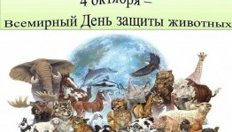 Информационный час «Мир пернатых и зверей ждет поддержки от людей»