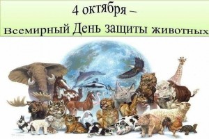 Информационный час «Мир пернатых и зверей ждет поддержки от людей»