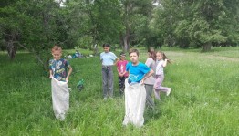 Игровая программа «Играем вместе»