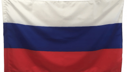 Патриотический час «Триколор России – знак свободы и любви»