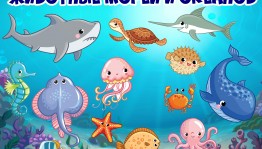 Познавательный час«Мир океанов и морей»