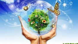 Экологическая викторина «Полна загадок чудесница природа»