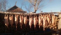 Татарский традиционно–обрядовый праздник «Каз өмәсе»