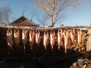 Татарский традиционно–обрядовый праздник «Каз өмәсе»