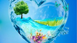 «Вода- это жизнь»