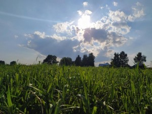 Беседа - познание «Чем прекрасен край родной»