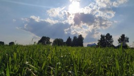 Беседа - познание «Чем прекрасен край родной»