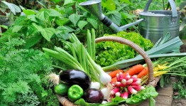 Заседание клуба «Теплые встречи»