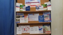 Выставка «Быть избирателем готов»