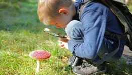 Познавательный час «Опасные грибы и растения»