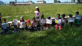 «Краски лета»