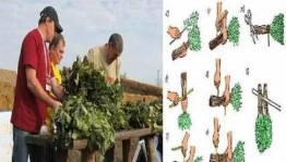 Мастер–класс «Веник для бани»