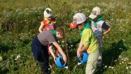 Экологический час «Бережем природу вместе»