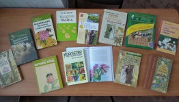 Пчеловодство Башкортостана
