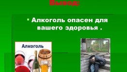 Беседа«Влияние алкоголя на организм»