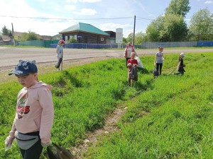 Экологический десант «Сделаем краше деревню нашу!»