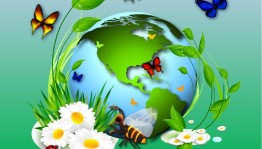 Игра–викторина о природе «Зеленая сказка»