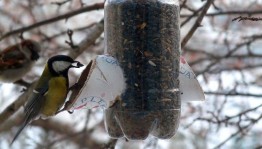 Мастер класс для первоклассников «Кормушки для синички»