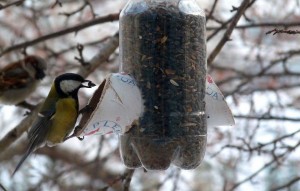 Мастер класс для первоклассников «Кормушки для синички»