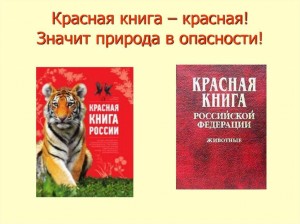 Викторина «Путешествие в страну Красной книги»