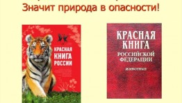Викторина «Путешествие в страну Красной книги»