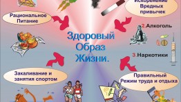 Беседа «Мы за ЗОЖ»