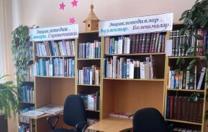 Игровая познавательная программа «Эти книги знают все»