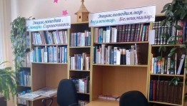 Игровая познавательная программа «Эти книги знают все»