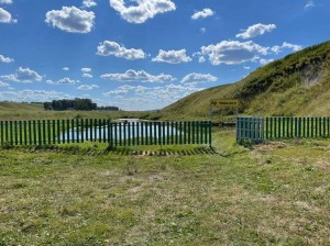 Экскурсия «Живи, родник, живи!»