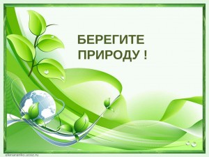 Экологическая программа «Как не навредить природе»