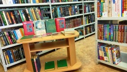 Литературный урок «Человек светлой мечты», посвященный творчеству А. С. Грина