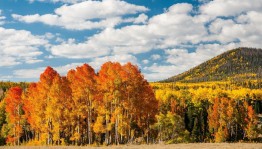 «Чудо осени» экскурсия