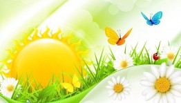 «Лето, солнце, жара – веселись, детвора!»